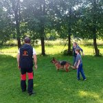 phoca_thumb_m_agility 62 Fotogalerie